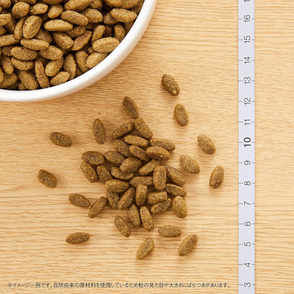 Nutro ナチュラルチョイス 成猫用 避妊・去勢猫用 アダルト 白身魚 2kg ドライフード 総合栄養食 1歳以上 キャットフード 猫 厳選自然素材 下部尿路の健康維持 香料・着色料 無添加 ニュートロ
